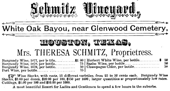 Schmitz Vineyard - Houston TX